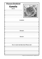 Pflanzensteckbrief-Kamelie-SW.pdf